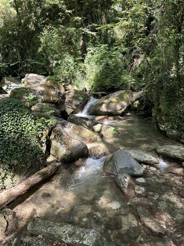 Cuves Nature Escape🌲