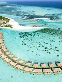 Cocoon Maldives — Where Modern Luxury Meets Barefoot Paradise