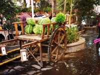 Hidden among the green hills of northern Tehran, the Water Mill Restaurant (Āsiyāb Ābi) in Farahzad 