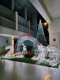 Ферма слонов, где запрещено кататься на них 🐘