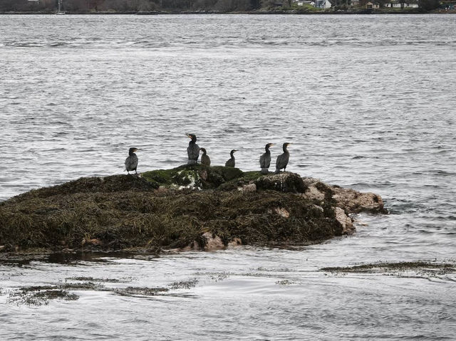 Eilean Donan Castle Eilean Donan Castle