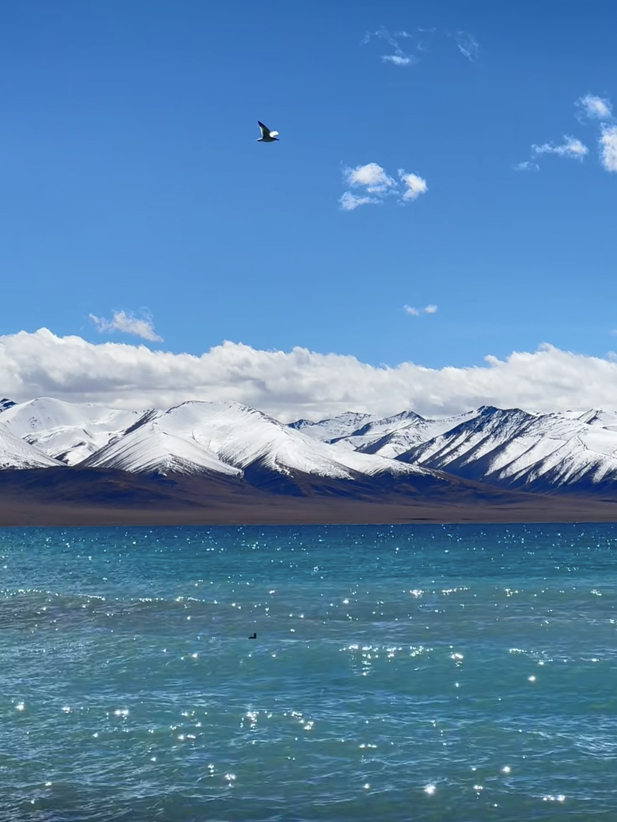 Namtso Lake — the Sacred “Heavenly Lake” of Tibet 🌊