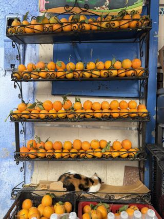 Morocco: An African Country of Contrasts.