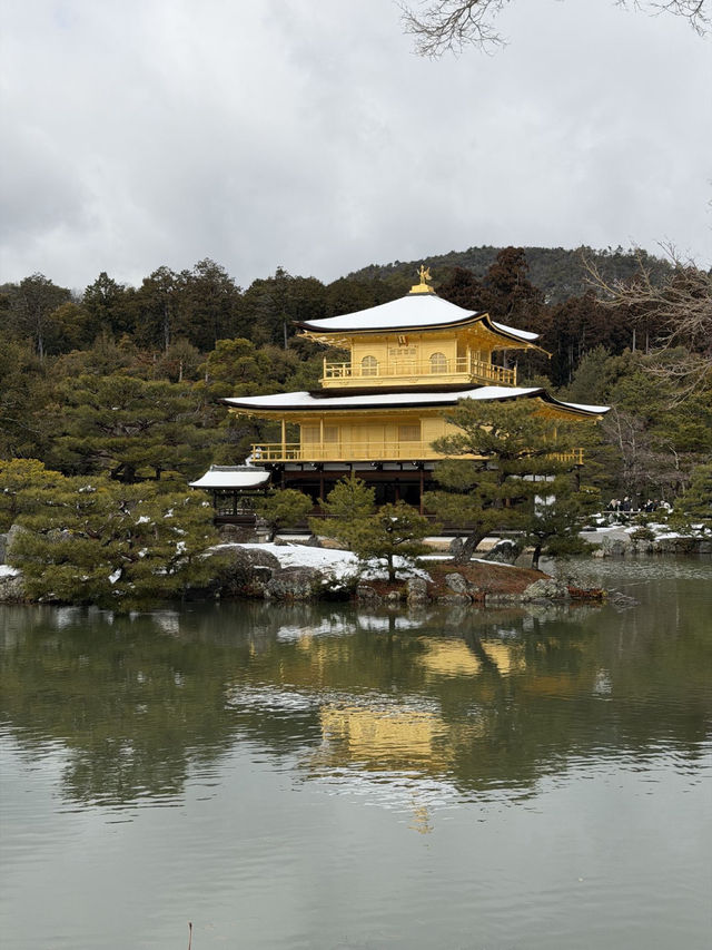 Solo Trip: 15 Winter Days in Japan - from Tokyo to Nagasaki 🇯🇵❄️