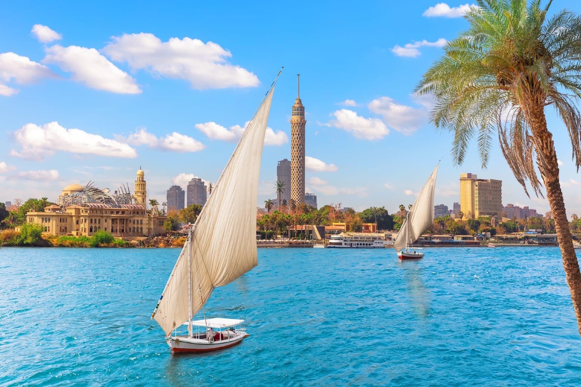 Cairo from the Water: An Unforgettable Nile River Cruise!