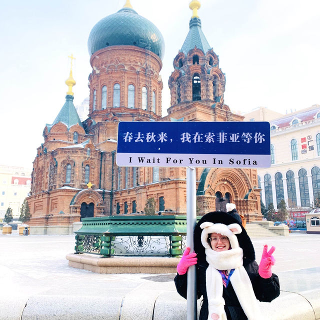 Winter Wonderland in Heilongjiang & Jilin!❄️