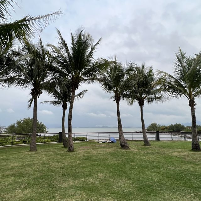 打卡深圳灣流花山公園