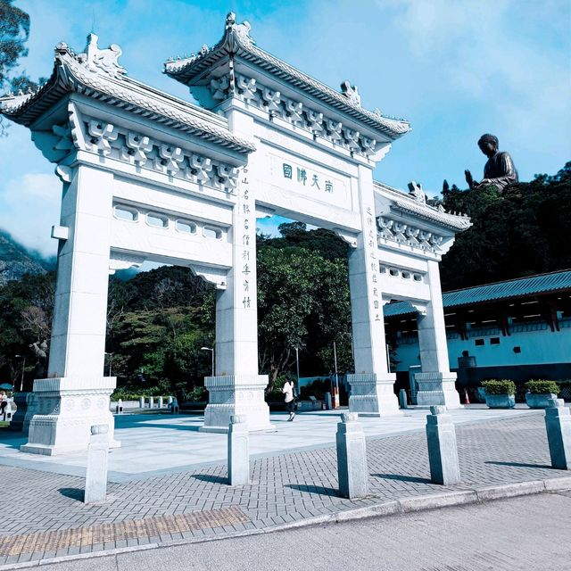 268 steps to see the Big Buddha! 😍