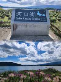 【日本必打卡】遠觀富士山，網紅打卡點一日遊