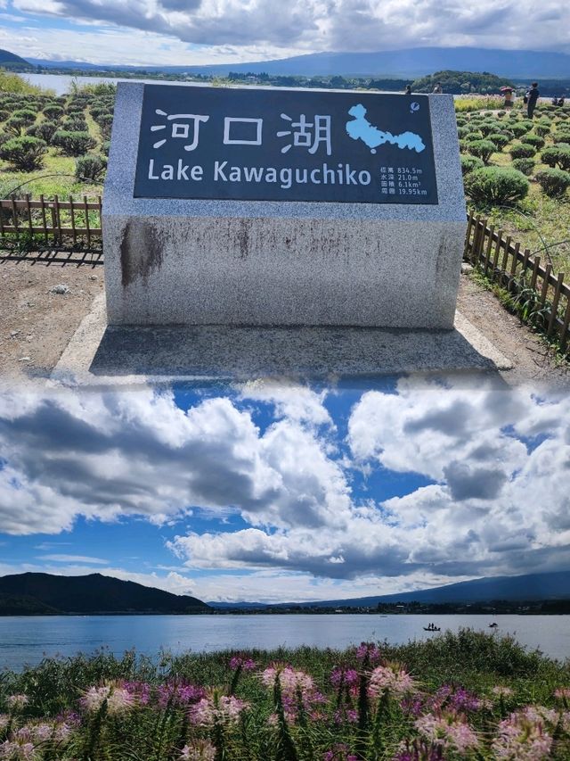 【日本必打卡】遠觀富士山，網紅打卡點一日遊