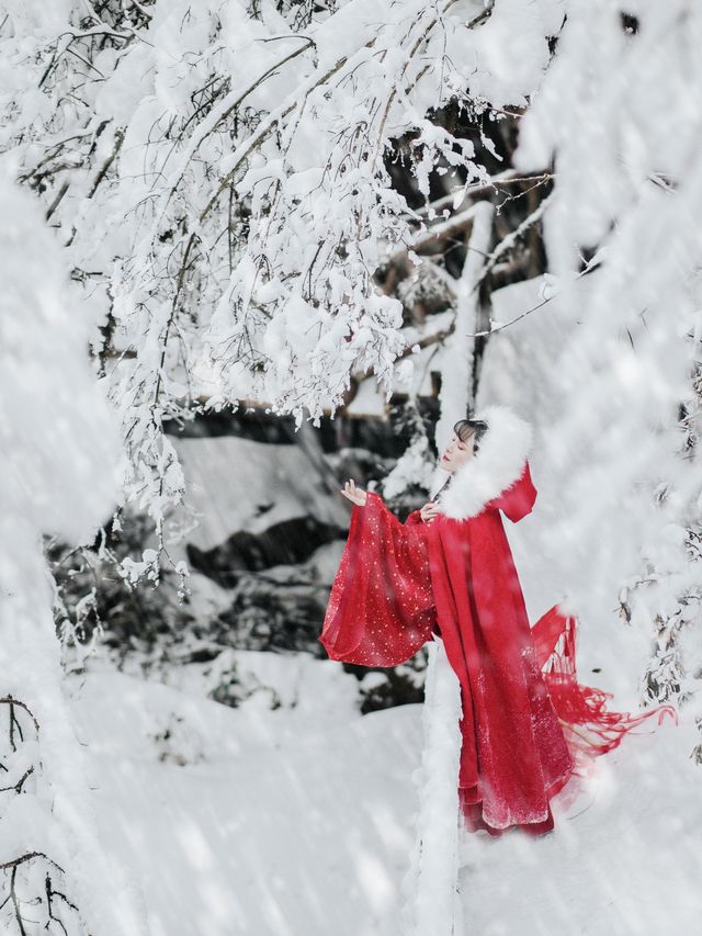 從成都出發2小時，這個冬天請不要再錯過這個寶藏耍雪地