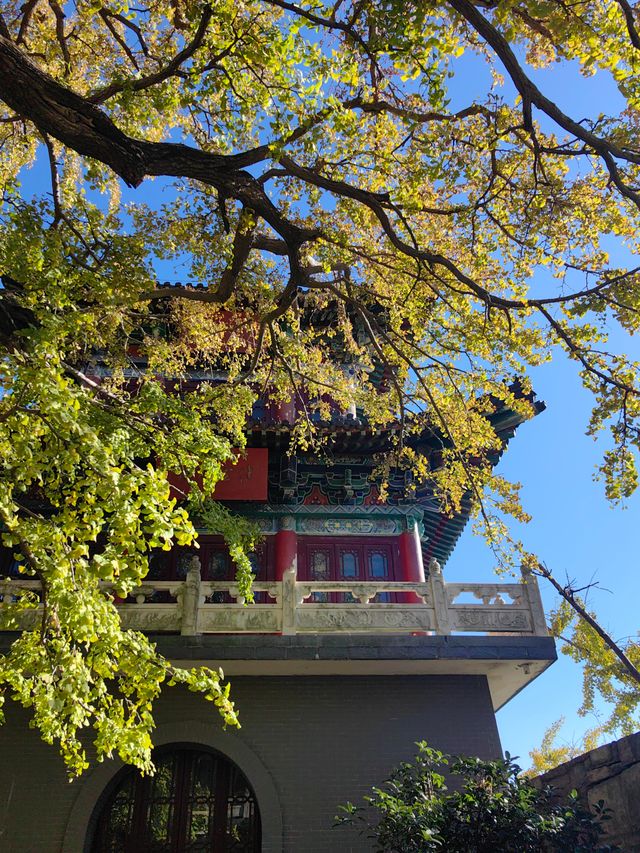 爬花果山，登江蘇第一高峰