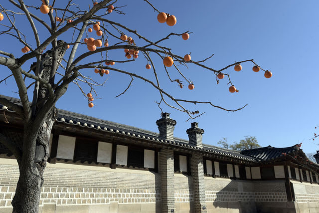 🏛️ 서울 역사 뒤의 보물을 해석하다
