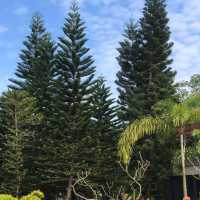 Conghua - The Home of Relaxation 
