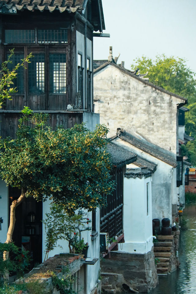 張家港｜這座老街是我唯一去了多次都不嫌多的地方