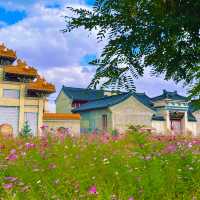 甘肅蘭州|長城西部影視城|假裝在國外