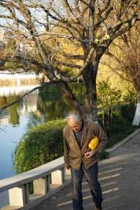 深秋的翠湖公園真的太美了（附攻略）
