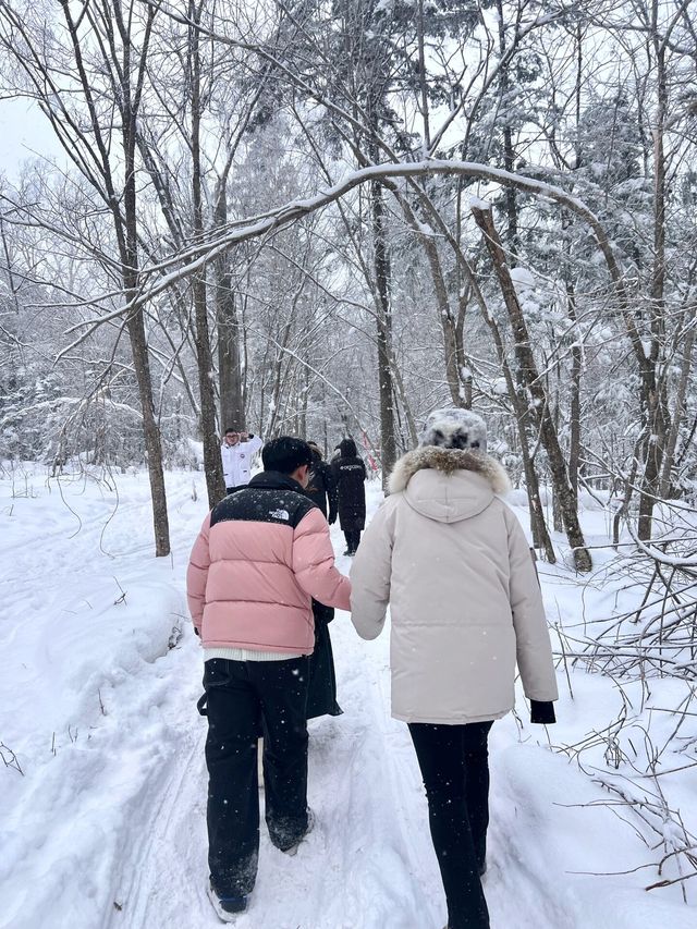 長白山雪嶺闖入童話世界看麋鹿live圖