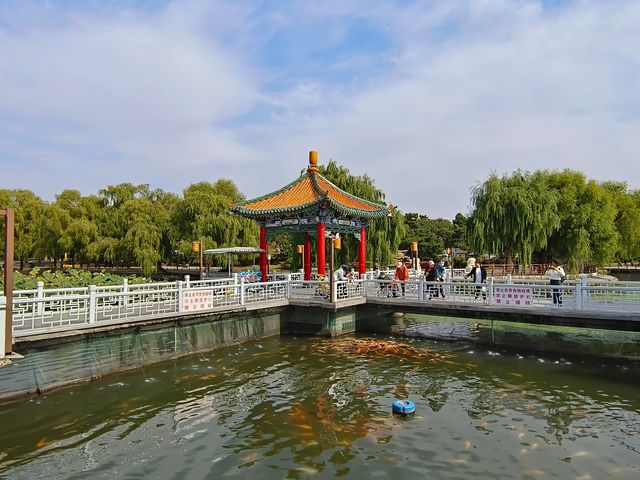 秋遊長春南湖公園