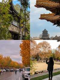 景德鎮正確打開方式｜這座城市只適合週末來玩