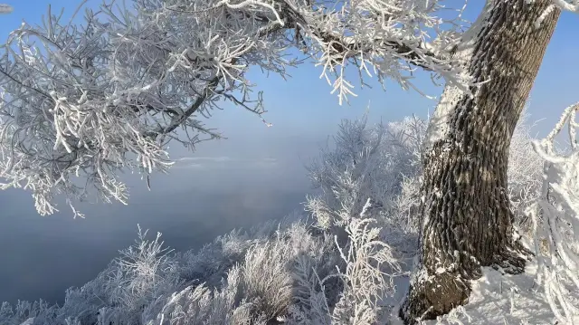 The Romance of Winter - Rime Island