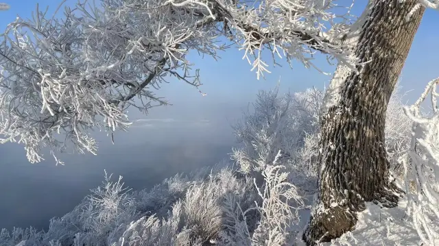 겨울의 로맨틱 - 안개 섬