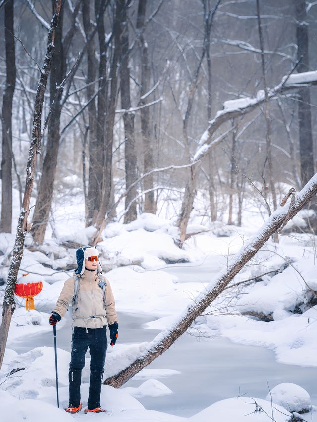 徒步穿越15公里的森林雪原才是雪鄉正確的開啟方式