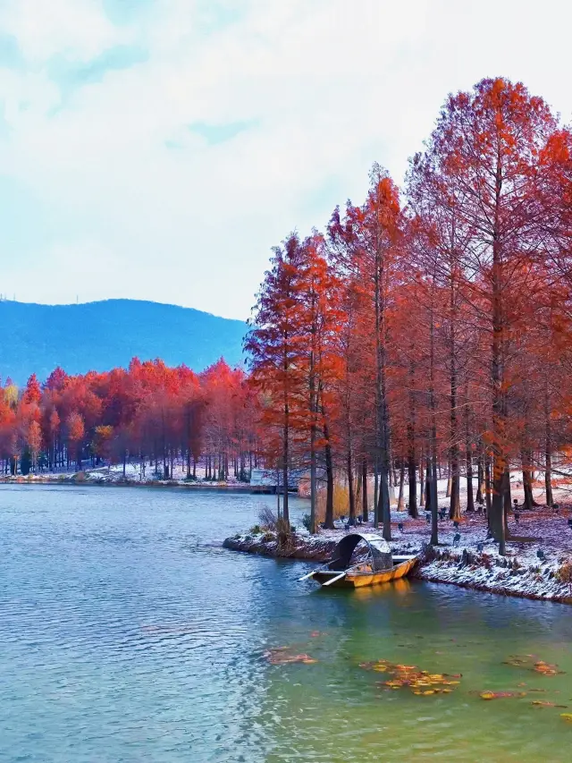 Nanjing's first snow| The Yanzi Lake after the snow is beautiful again