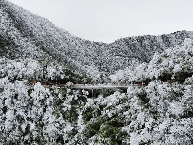 湖南郴州｜廣州2h可以看雪景的地方