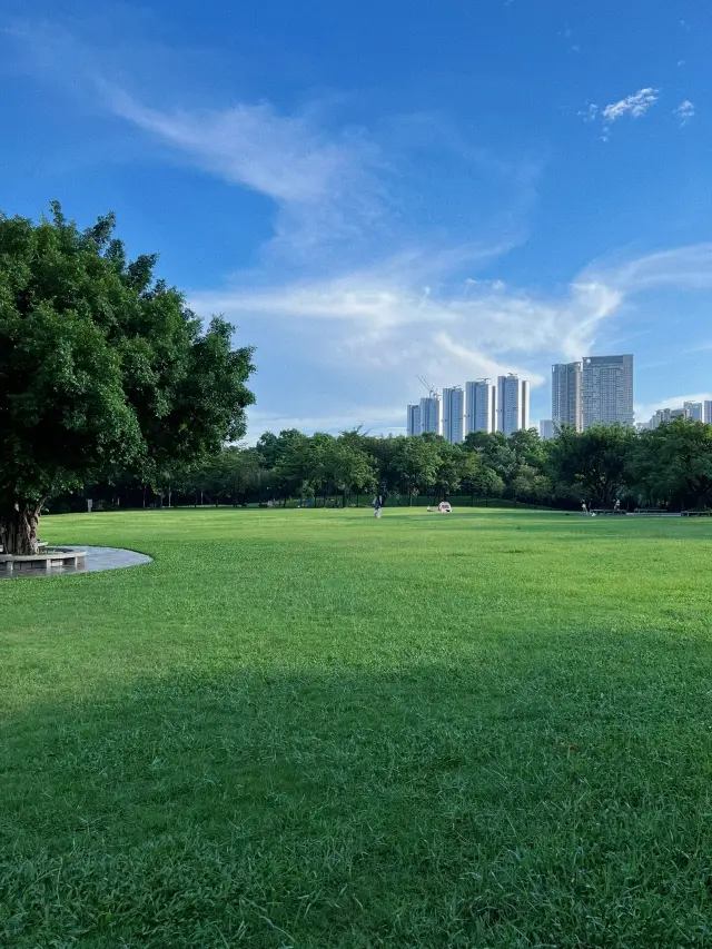 私は宣言します！これは深セン公園の天井です