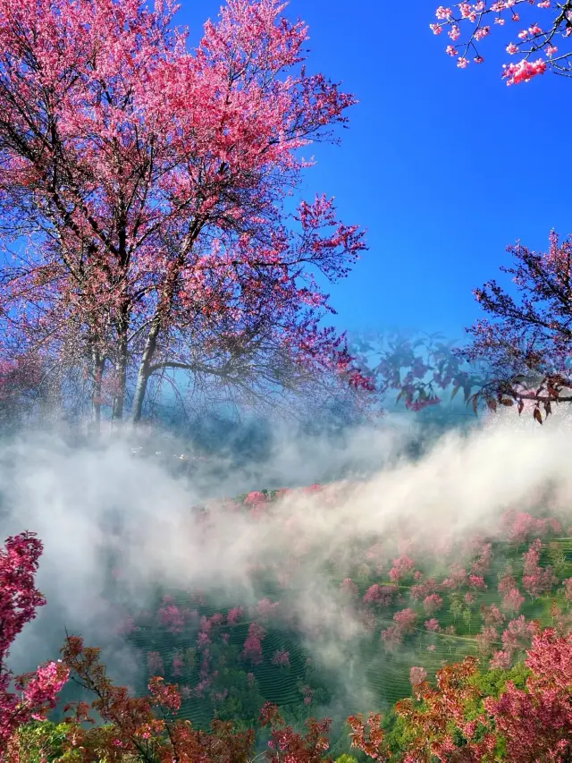 김용의 펜에서 나온 인간의 천국 | 무량산 벚꽃 계곡