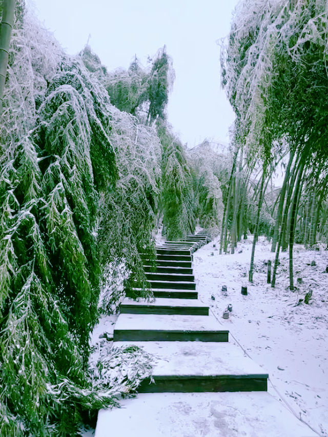 這太東北了竟然在廣東看到雪了！被美哭了