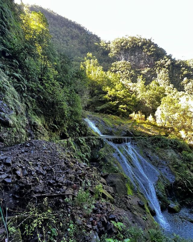 Secret Waterfall Odyssey: Discovering Cascata da Ribeira do Seixal, Madeira 🇵🇹💦