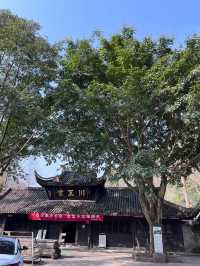 【成都1小時】天然氧吧，太美了！