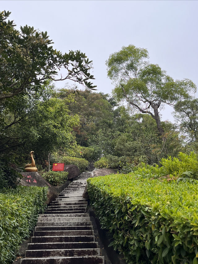 石花山公園