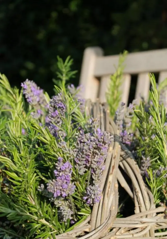 Flowers and the ancient city of Pienza complement each other