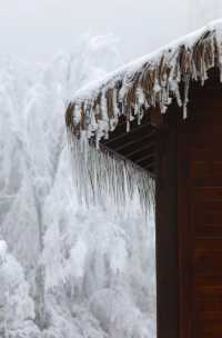 真是太震撼了！在四川也可以看到絕美的冰雪日出了！