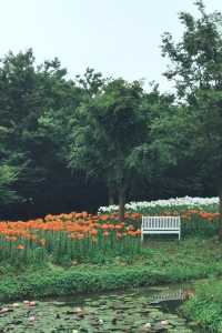 上海公園｜花開上海生態園