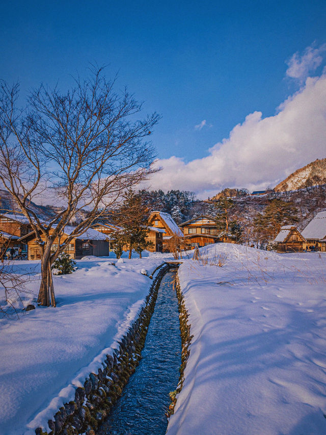 新年伊始，到白川鄉體驗冬季最美村落