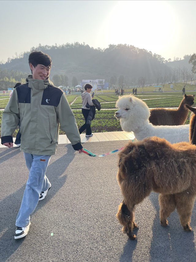 鄉土版的迪斯尼