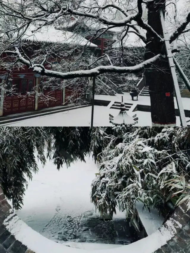 Experience of Visiting the Liaocheng Shanxi-Shaanxi Guild Hall after Snowfall