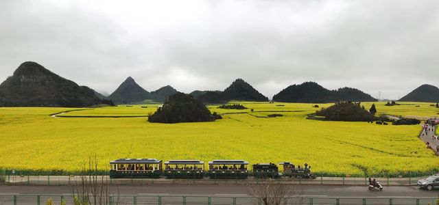 春日萌動，雲南羅平等你來！