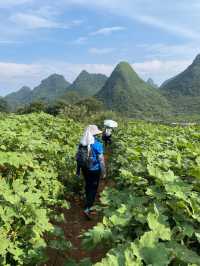 穿越英德莫六公山，行走山脊線賞峰林