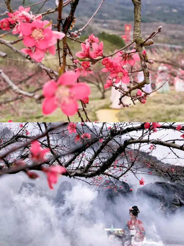 広佛周辺ツアー｜3月自家用車で花見と春の訪れを楽しむガイド