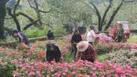 石門關雲上村莊，入選雲南金牌旅遊村