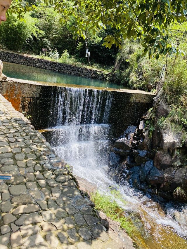 躲進山裡  /  看一汪碧波大奇山國家森林公園