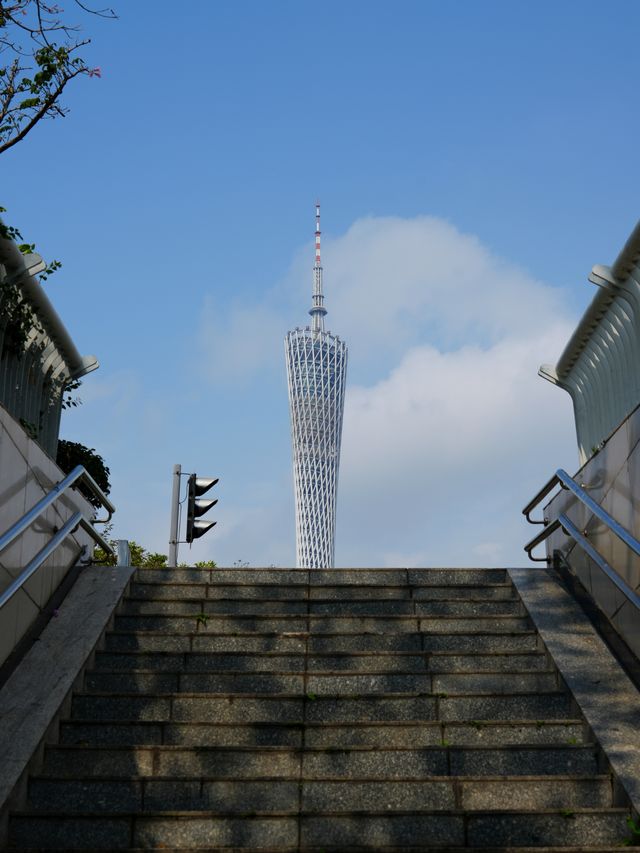 磨碟沙公園 | 廣州塔＆有軌電車＆最佳賞花拍攝地