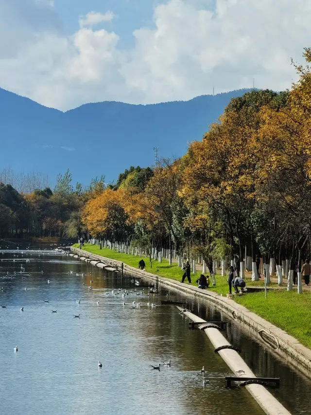 Although the river in Kunming is not long, it is truly beautiful
