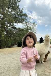 親子打卡｜大理蒼海雲上草原 拍照遛娃寶地