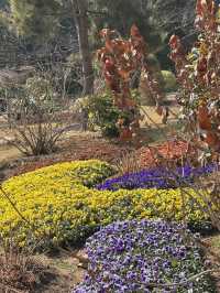 青島賞花好去處，人少景美的百花園首當其衝！